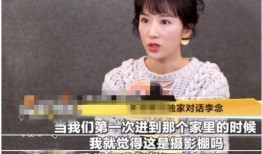 李念爆料天崖视频在线观看,揭秘网络爆料的背后