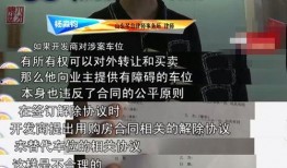 深圳吕先生爆料新闻视频,揭秘新闻视频背后的惊人真相