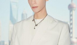 娱乐爆料刘宇宁刘诗诗视频,娱乐圈再掀波澜！