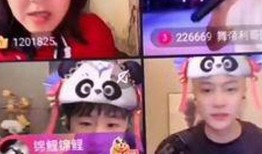 鸟哥爆料锦鲤视频播放,锦鲤视频播放背后的秘密