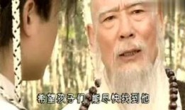 乘龙快婿爆料视频大全集,揭秘豪门背后的爱恨情仇