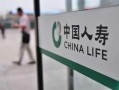 人寿保险最新爆料,揭秘保险理赔内幕与市场趋势