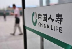 人寿保险最新爆料,揭秘保险理赔内幕与市场趋势
