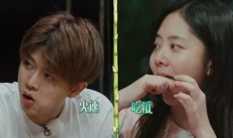 全网吃瓜爆料直播视频,吃瓜爆料直播视频，揭秘娱乐圈幕后真相