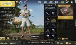 吃鸡枪皮肤爆料最新,炫酷外观与强大性能并存