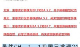 今日新冠病毒爆料消息,全球疫情动态与防控策略解析