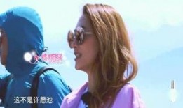 娱乐第一爆料cp,揭秘“第一爆料CP”背后的甜蜜故事