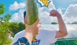 网红吃瓜素材视频在线观看,揭秘娱乐圈幕后故事