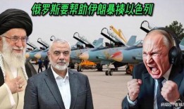以色列专家爆料视频,揭秘神秘事件内幕