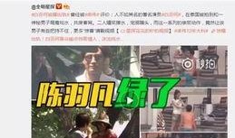 爆料第七十三期视频下载,爆料背后的大事件