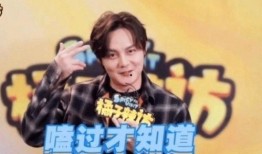 爆料娱乐圈博君一肖,娱乐圈的甜蜜风暴，揭秘这对明星情侣的甜蜜瞬间