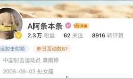 爆料四姐视频下载网站最新,一键获取热门视频，畅享娱乐盛宴！