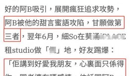爆料新闻稿如何说,深度解析事件背后真相