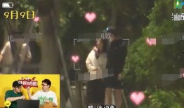 狗仔爆料解说视频大全,视频大全背后的娱乐真相