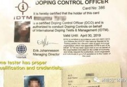 最新关键证人爆料案件分析,案件背后惊人真相曝光