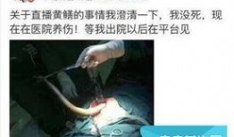 黄鳝门21分钟完整版在线观看,揭秘事件真相与幕后黑幕