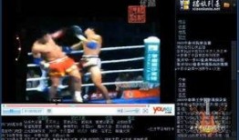 飞鸟比赛爆料视频下载,精彩瞬间与幕后故事