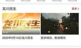 龙川一线新闻爆料网络,网络热点事件深度解析