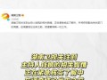 娱乐圈吃瓜文件叫什么,从“吃瓜文件”看明星幕后真相
