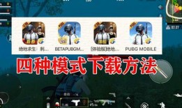 帕布鸡体验服最新爆料,神秘技能曝光，游戏玩法再升级！