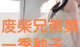废柴在线观看,在线见证废柴变身的奇迹之旅
