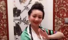 朱军爆料谭梅视频大全集,揭秘娱乐圈不为人知的秘密