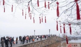 断桥在线观看,穿越时空的浪漫邂逅
