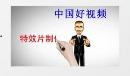 幽默爆料视频素材下载大全