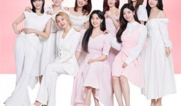 韩国圈内爆料twice,揭秘韩国娱乐圈背后的故事！