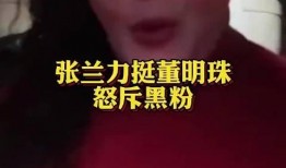 张兰爆料董明珠视频播放,一场商业巨头间的风云对决