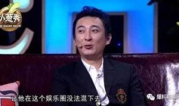王思聪爆料那英事件视频,王思聪爆料背后的真相