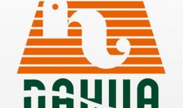 最新圈内爆料大华地产