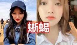 奇葩大会爆料宋茜视频,揭秘明星背后的真实生活