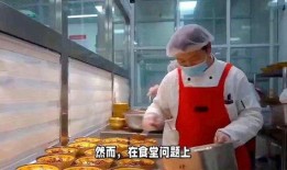 保定学生吃饭爆料视频,真实就餐环境引发热议